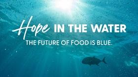 Hope in the Water